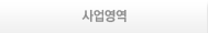 사업영역